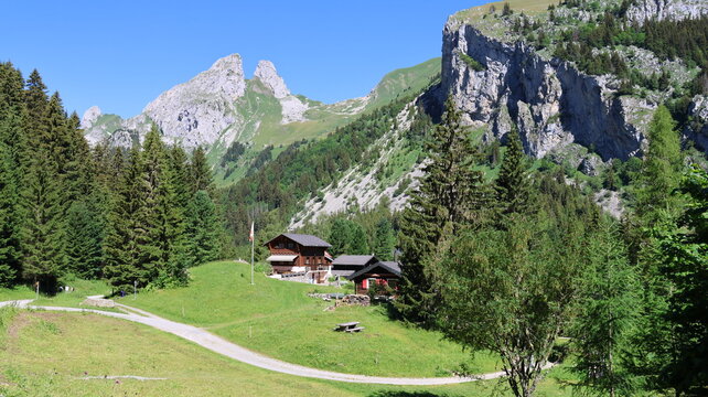 View of traditional wooden chalets nestled in a lush alpine meadow near Lac de Taney, surrounded by dense pine forests and dramatic limestone peaks in Vouvry, Valais, Switzerland.