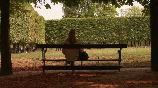 Wooden bench in front of a tall hedge in a Paris garden