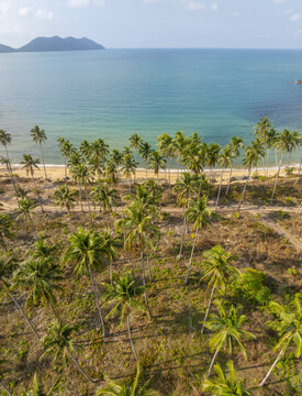 Aerial view of Wai Chaek Beach with lush palm trees, sandy coastline, and turquoise sea in Koh Chang Tai, Trat, Thailand.