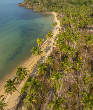 Aerial view of Wai Chaek Beach with lush palm trees lining the sandy shore and turquoise waters in Koh Chang Tai, Trat, Thailand.