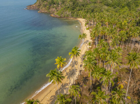 Aerial view of Wai Chaek Beach with lush palm trees lining the golden sand and clear turquoise water in Koh Chang Tai, Trat, Thailand.