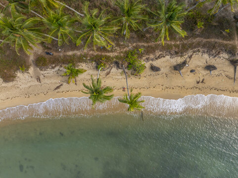 Aerial view of Wai Chaek Beach with palm trees lining the sandy shore and gentle waves washing onto the coast in Koh Chang Tai, Trat, Thailand.