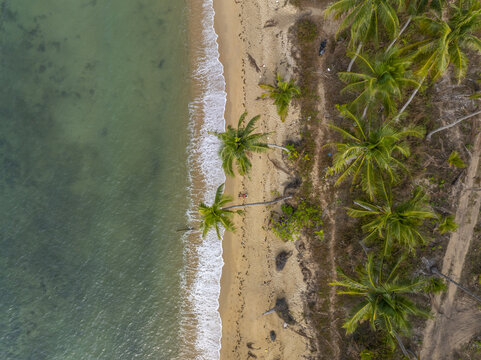 Aerial view of Wai Chaek Beach featuring lush palm trees lining the sandy shore and gentle waves washing onto the coast in Koh Chang Tai, Trat, Thailand.