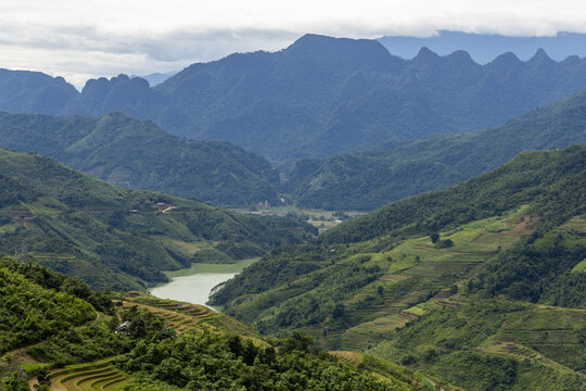 View of the Ha Giang Loop landscape with lush green terraced rice fields, a winding river in the valley, and dramatic mountains under an overcast sky in Dong Van, Tuyen Quang, Vietnam.
