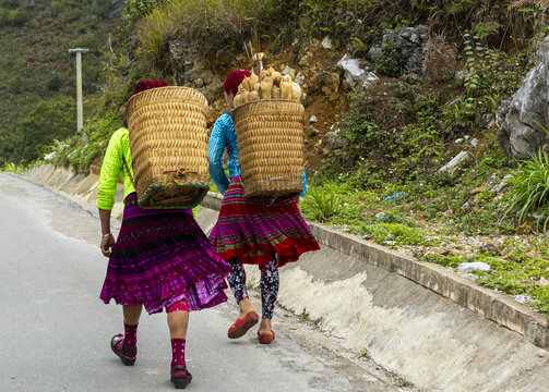 Hoan Kiem, Ha Noi, Vietnam - 06 October 2025: View of two Hmong women in traditional clothing carrying large woven baskets while walking along a rural mountain road.