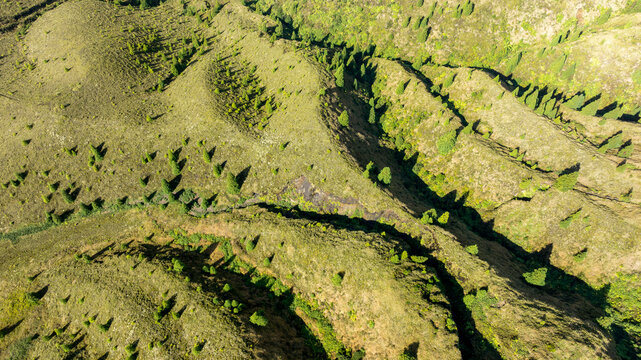 Aerial view of the volcanic landscape surrounding Lagoa do Canario with rolling green hills, scattered coniferous trees, and rugged terrain in Santo Antonio, Azores, Portugal.