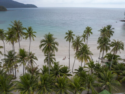 Aerial view of Haad Khlong Hin Beach with white sand, turquoise water, and lush palm trees in Ko Kut, Thailand.