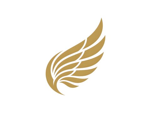 Abstract rising wing design on dark background