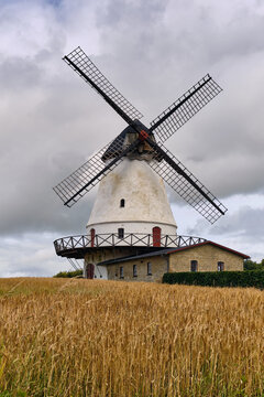 Sonderborg, Denmark - 06 July 2026: View of Nybol Molle, a historic white windmill standing amidst a golden wheat field under a cloudy sky.