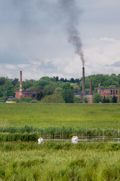 View of a factory with smoking brick chimneys situated behind a lush green meadow and a pond with two white swans in Debrzno, Pomeranian Voivodeship, Poland.