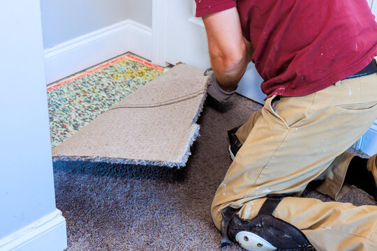 Worker kneels on floor, removes pulling up carpet to prepare for new flooring in house.