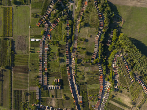 Aerial view of the Hajos pincefalu, a historic wine cellar village featuring rows of traditional wine cellars, vineyards, and rural pathways in Hajos, Hungary.