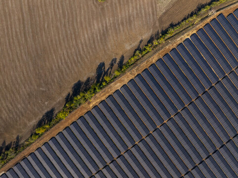 Aerial view of a large solar farm with rows of photovoltaic panels adjacent to a brown agricultural field and a line of trees in Lovech, Lovech, Bulgaria.