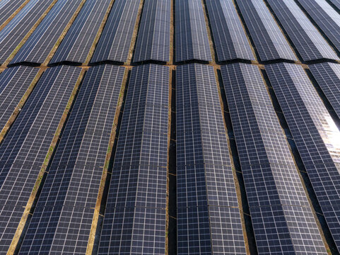 Aerial view of a large solar farm with rows of photovoltaic panels arranged in neat lines in Lovech, Lovech, Bulgaria.