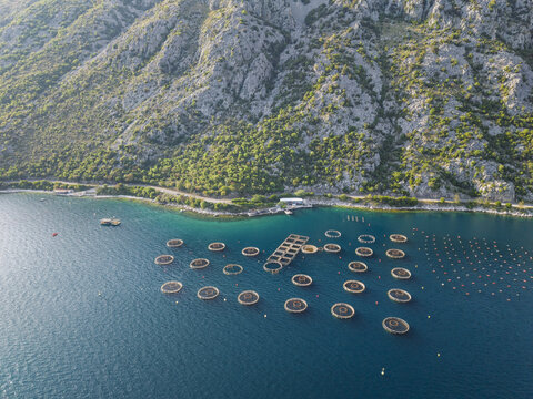 Aerial view of fish farms in the Bay of Kotor, Kotor, Montenegro.