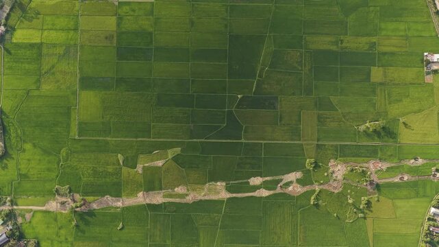 Aerial view of Lak Lake surrounded by lush green rice paddies and agricultural fields in the Central Highlands, Lien Son Lak, Dak Lak, Vietnam.