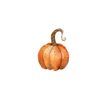 Orange Pumpkin Clipart | Hand Painted Autumn Pumpkin
Hand-painted watercolor orange pumpkin with a whimsical curled stem and soft natural texture. A cozy autumn illustration perfect for fall and harve