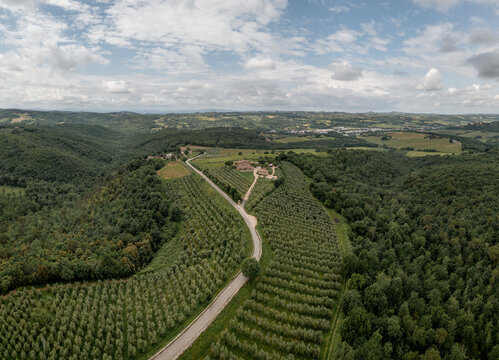 Aerial view of olive groves and a winding road leading to a farmhouse in the rolling hills of the countryside in Passignano, Toscana, Italy.