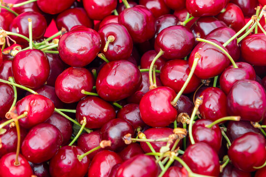 Pile of fresh raw organic cherry fruit outside on market