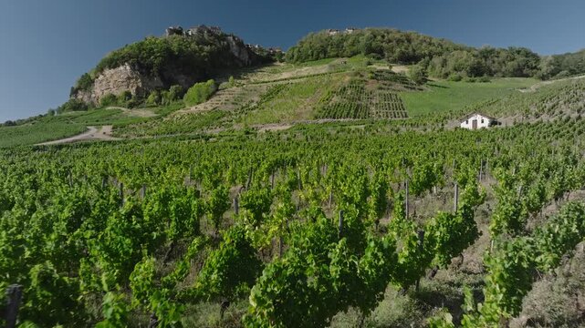 Vue sur le village perch&eacute; de Ch&acirc;teau-Chalon depuis les vignes de Nevy-sur-Seille, Jura (39)