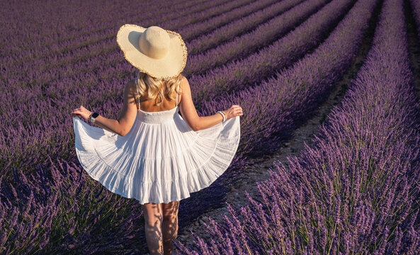 View of a woman in a white dress and straw hat walking through blooming lavender fields during golden hour in Valensole, Provence-Alpes-Cote d'Azur, France.