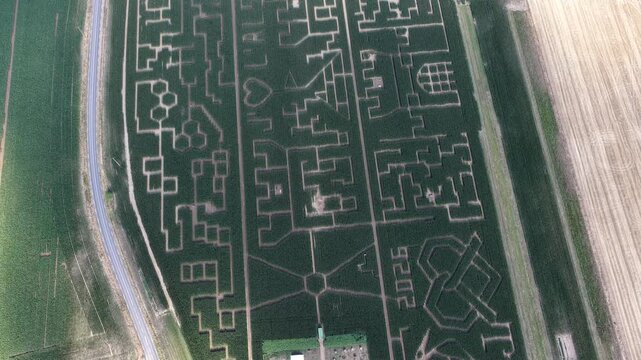 Aerial view of a large corn maze with intricate geometric patterns and paths carved into the field, Soultz-Haut-Rhin, Grand Est, France.