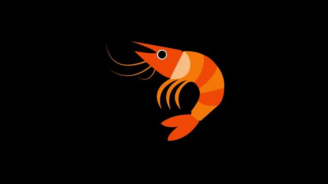 Animated Cute Orange Shrimp Swimming Motion Graphic Loop on Transparent Black Background for Seafood Restaurant Menu Marine Life Ocean Animal Concept Video Element