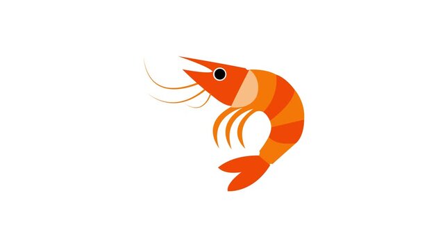 Animated Cute Orange Shrimp Swimming Motion Graphic Loop Isolated on Pure White Background for Seafood Restaurant Menu Marine Life Ocean Animal Commercial Video Element