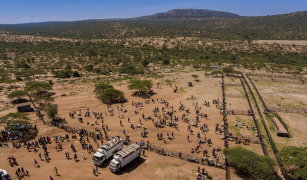 Aerial view of a bustling livestock market with people and goats gathered in fenced enclosures near trucks in the arid landscape of Oldonyiro, Isiolo County, Kenya.