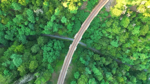 Aerial view of the Zampach viaduct railway bridge surrounded by dense green forest in Jilove u Prahy, Stredocesky kraj, Czechia.