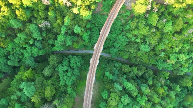 Aerial view of the Zampach viaduct, the highest railway bridge in the country, surrounded by lush green forest in Jilove u Prahy, Stredocesky kraj, Czechia.