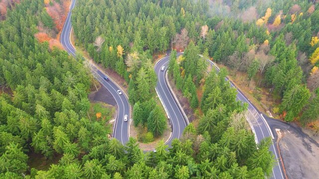 Aerial view of a winding serpentine road cutting through a dense coniferous forest with autumn foliage and cars driving along the asphalt, Czech Republic.