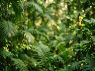 Fototapeta premium Lush tropical rainforest foliage with soft natural sunlight filtering through the dense green leaves, creating a peaceful and serene jungle atmosphere