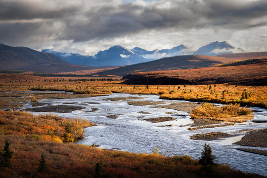View of Denali National Park and Preserve with a winding river flowing through autumn-colored tundra under a dramatic cloudy sky in Alaska, United States.