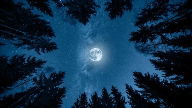 Night sky with full moon and starry clouds