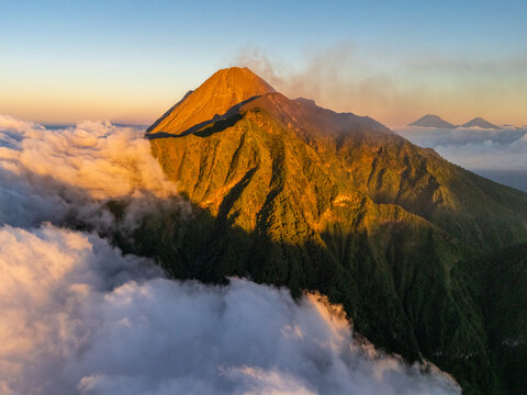 Aerial view of Mount Merapi at sunrise with golden light illuminating the volcanic peak and lush green slopes rising above a sea of clouds in Selo, Central Java, Indonesia.