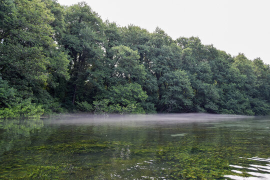 View of a serene river with lush green trees lining the bank and a light layer of morning mist hovering over the clear water in Skopje, Greater Skopje, North Macedonia.
