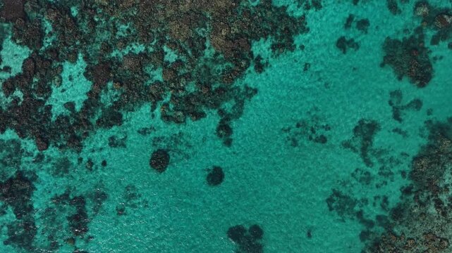 Aerial view of vibrant coral reef formations beneath clear turquoise waters in Karimunjawa, Central Java, Indonesia.