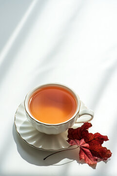 Warm Amber Tea Cup with Autumn Red Leaf on White Background and Shadow Patterns