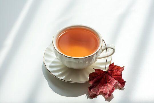 Warm amber tea in elegant white cup with golden rim beside dried red maple leaf casting soft shadows on bright white surface, evokes cozy autumn atmosphere and refined beverage experience