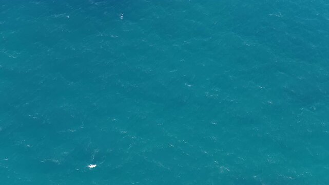 Aerial view of turquoise sea water in Karimunjawa, Central Java, Indonesia.