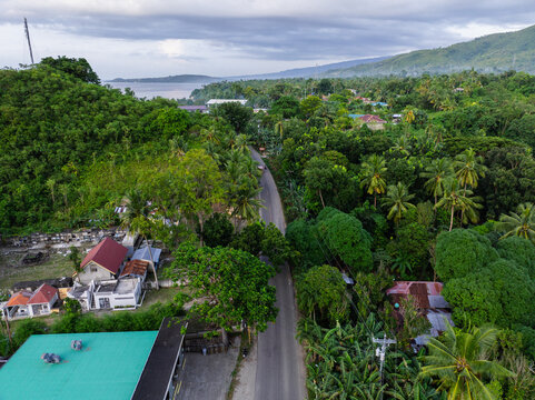 Aerial view of the Santander - Barili - Toledo Rd winding through lush tropical vegetation, palm trees, and residential houses near the coastline in Alegria, Central Visayas, Philippines.