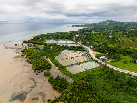 Aerial view of aquaculture ponds along the Natalio B. Bacalso S National Hwy, surrounded by lush greenery, mangroves, and the coastline in Sibonga, Central Visayas, Philippines.