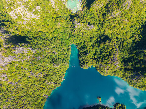 Aerial view of Barracuda Lake surrounded by lush green limestone cliffs and turquoise water in the Coron Island Protected Area, Coron, Mimaropa, Philippines.