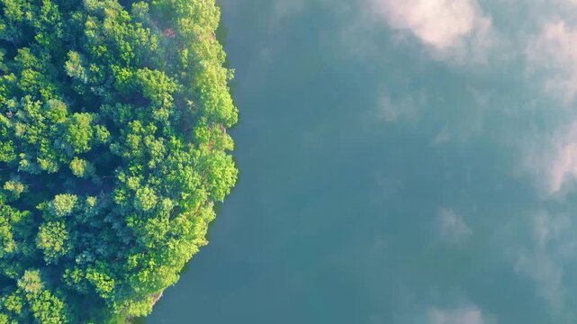 Aerial view of the dense forest bordering the calm waters of the Trebonsko Protected Landscape Area in Trebon, South Bohemian Region, Czechia.