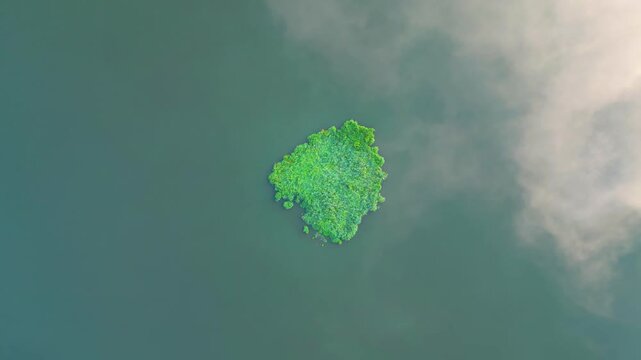 Aerial view of a small green island in a calm lake with cloud reflections in the Trebonsko Protected Landscape Area in Trebon, South Bohemian Region, Czechia.