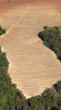 Aerial view of plowed agricultural fields and farmland in a sunny day