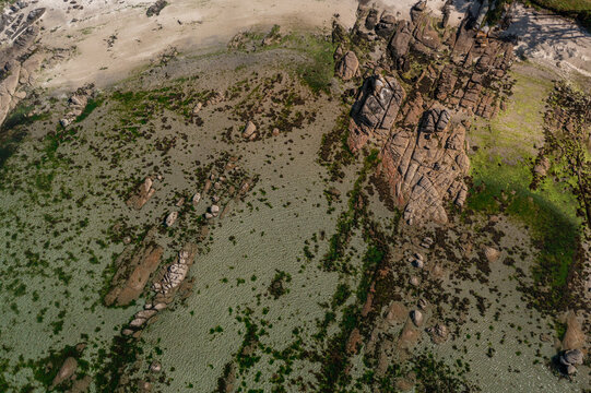 Aerial view of the rocky coastline and clear shallow waters of A Illa de Arousa, featuring mossy stones, sandy patches, and intricate tidal patterns in A Illa de Arousa, Pontevedra, Spain.