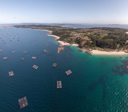 Aerial view of mussel rafts floating in the turquoise waters of the Atlantic Ocean along the sandy coastline and green landscape of O Grove, Pontevedra, Spain.