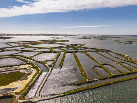 Aerial view of the salt pans of the Ria de Aveiro with interconnected water channels and grassy banks in Aveiro, Aveiro District, Portugal.